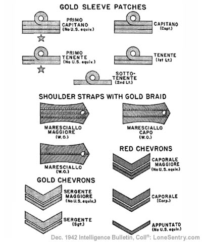 [Figure 4. Italian insignia.]